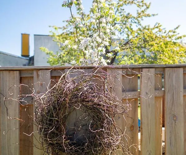 Tiny House 300 Meter Vom Zentrum Entfernt بيت للعطل